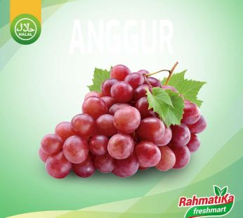 Anggur Merah Segar / Anggur Merah Red Globe Seeds Fresh 1 Kg