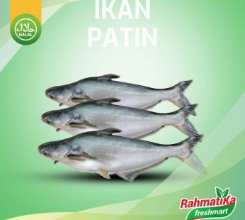 Ikan Patin Segar / Ikan Patin Fresh 1 Kg