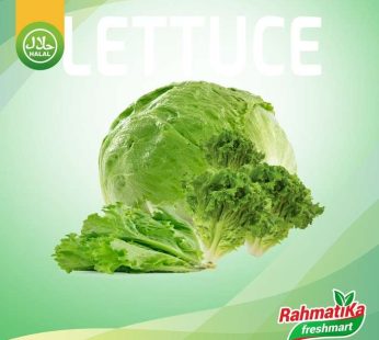 Letus Segar / Lettuce Fresh / Letuce 500 gram (Sayur Segar)