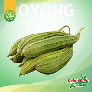 Oyong Sayur Segar / Gambas Sayur Fresh 500 gram (Sayur Segar)