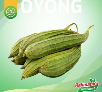 Oyong Sayur Segar / Gambas Sayur Fresh 500 gram (Sayur Segar)