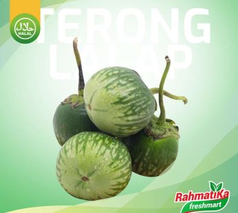 Terong Lalap Hijau Segar / Terong Bulat Hijau Fresh 250 gram