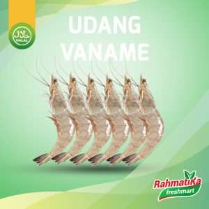 Udang Vaname Segar 250 gram / Udang Panami Size 20 (Isi +/- 5 pcs)