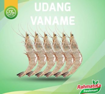 Udang Vaname Segar 500 gram / Udang Panami Size 20 (Isi +/- 10 pcs)