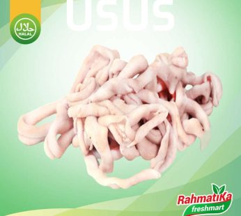 Usus Ayam Segar / Usus Ayam Fresh 1 kg (Ayam Segar)