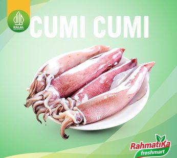 Cumi Segar / Ikan Cumi Fresh 250 gr