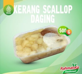 Daging Kerang Scallop 500 gr