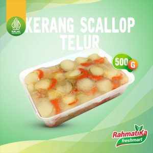 Daging Kerang Scallop Telur 500 gr