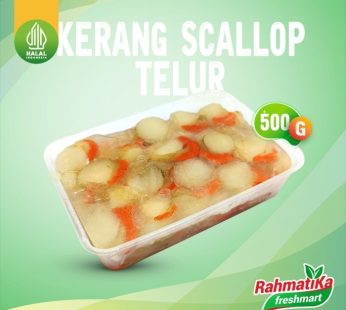 Daging Kerang Scallop Telur 500 gr