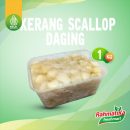 Daging Kerang Scallop 1 Kg