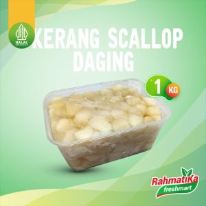 Daging Kerang Scallop 1 Kg