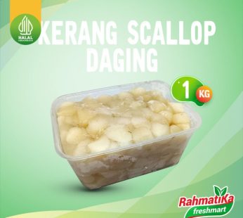 Daging Kerang Scallop 1 Kg