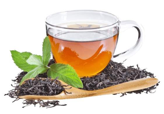Green-Tea-Cup-PNG-High-Quality-Image