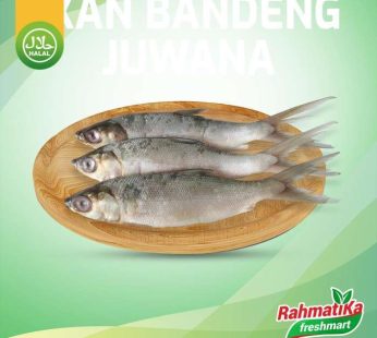 Ikan Bandeng Segar / Ikan Bandeng Fresh 1 Kg