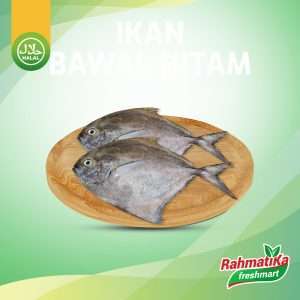 Ikan Bawal Hitam Segar / Ikan Bawal Hitam Fresh 500 gr