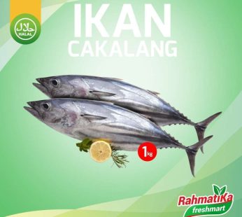 Ikan Cakalang Segar / Ikan Cakalang Fresh 1 Kg