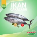 Ikan Cakalang Segar / Ikan Cakalang Fresh 500 gr