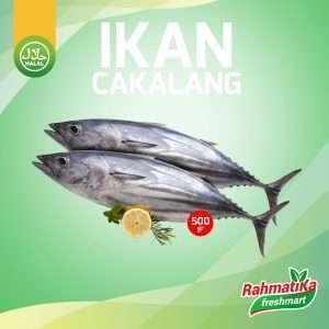 Ikan Cakalang Segar / Ikan Cakalang Fresh 500 gr