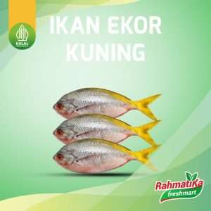 Ikan Ekor Kuning 500 gr