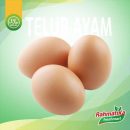 Telur Ayam Negeri / Telor Ayam Negri Fresh 500 gram