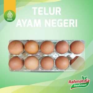 Telur Ayam Negeri / Telor Ayam Negri Isi 10 Butir