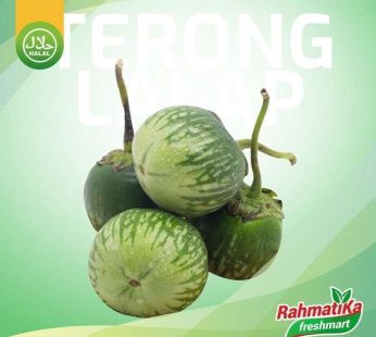 Terong Lalap Hijau Segar / Terong Bulat Hijau Fresh 1 Kg