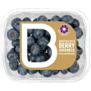 Berry World Blueberries