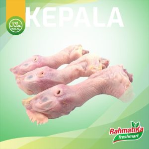 Kepala Leher Ayam Segar / Kepala Leher Ayam Fresh 1 Kg (Ayam Segar)