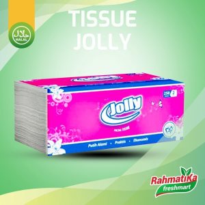 Jolly Facial Tissue 250 Sheets 2 Ply