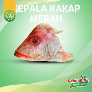 Kepala Ikan Kakap Merah 1 pcs