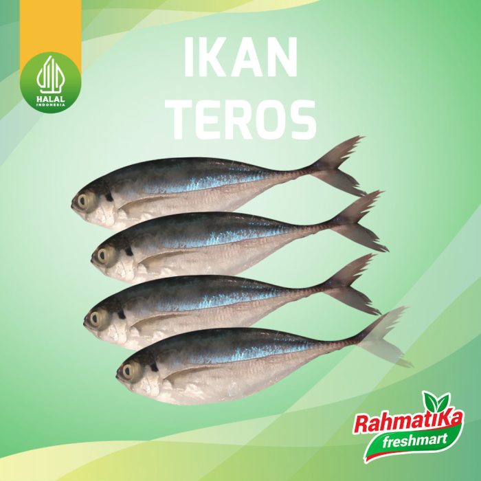 Ikan Kembung Teros / Ikan Teros Segar 1 Kg