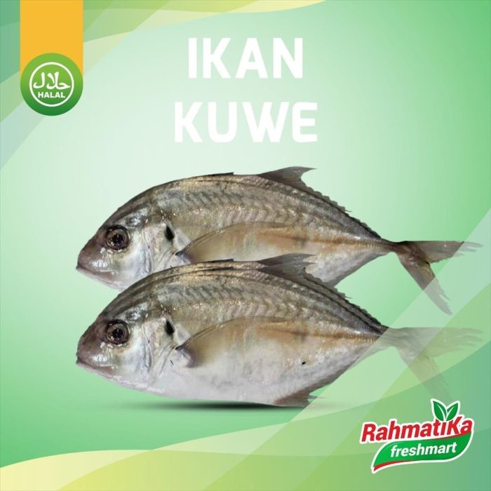 Ikan Kuwe 1 Pack