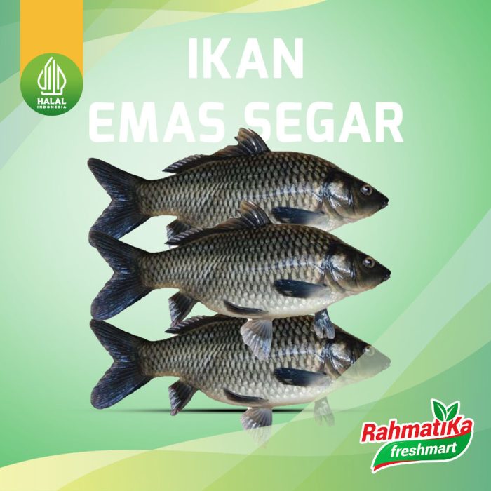 Ikan Mas Segar / Ikan Emas Fresh 500 gr