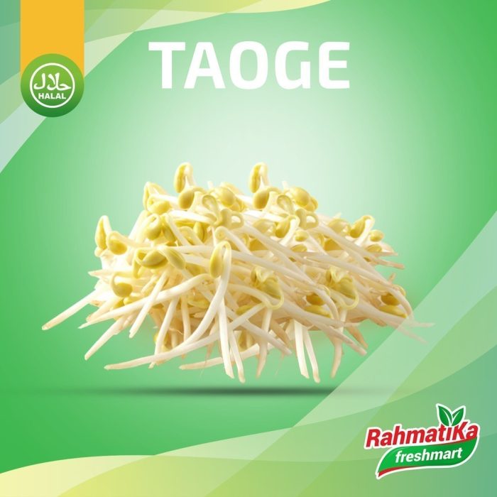 Toge Segar / Tauge Fresh 1 Kg (Sayur Segar)