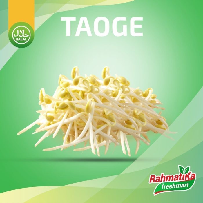 Toge Segar / Tauge Fresh 250 gram (Sayur Segar)