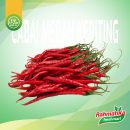 Cabai Merah Keriting / Cabe Merah Keriting Fresh 250 gram