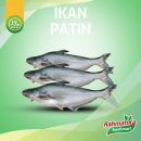 Ikan Patin Segar / Ikan Patin Fresh 500 gram