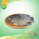 Ikan Gurame Segar 500 gram