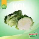 Sayur Kol Segar / Sayur Kol Putih Fresh 500 gram