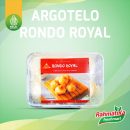 Argotelo Rondo Royal Tape Goreng Keju Khas Salatiga (Frozen)