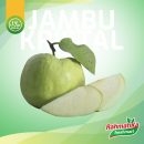 Jambu Kristal Segar / Jambu Kristal Fresh 1 Kg (Buah Segar)