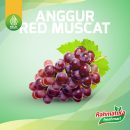 Anggur Merah Muscat Segar / Anggur Red Muscat Fresh 1 Kg