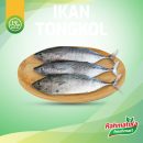 Ikan Tongkol Segar / Ikan Tongkol Fresh 500 gr