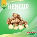 Kencur Segar / Kencur Fresh 500 gram