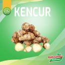 Kencur Segar / Kencur Fresh 250 gram