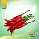 Cabai Merah Besar / Cabe Merah Besar Fresh 500 gram