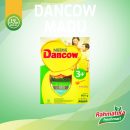 Dancow 3+ Madu Nutritods / Susu Dancow 3+ Rasa Madu 750 gr