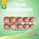 Telur Ayam Negeri / Telor Ayam Negri Isi 10 Butir