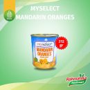 My Select Mandarin Oranges / Buah Jeruk Mandarin Kaleng 312 gram