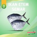 Ikan Kantung Semar 500 gr